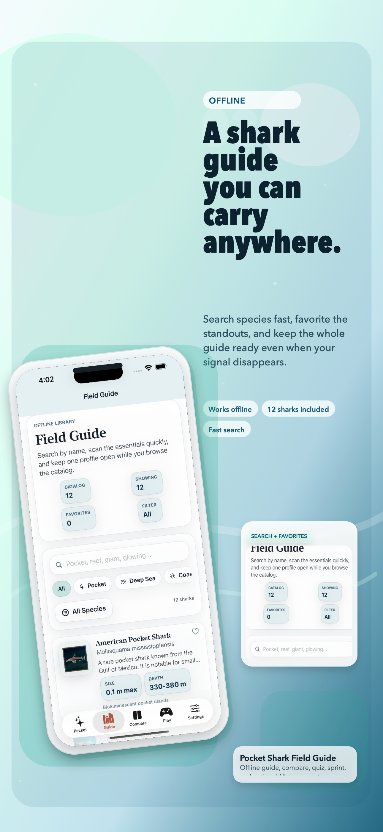 Offline Shark Field Guide App screenshot